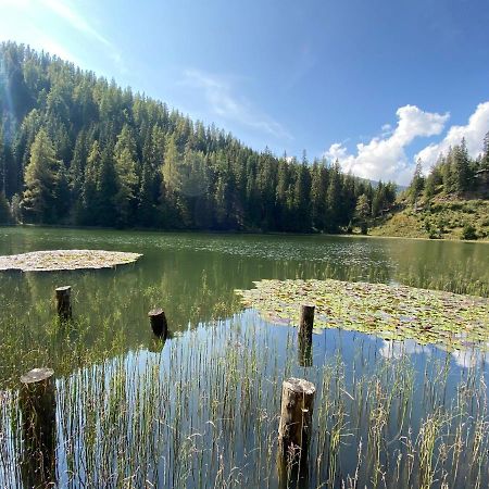 Appartamento Traumhaus Flattnitz Esterno foto